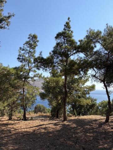 Photo of Others in Leros