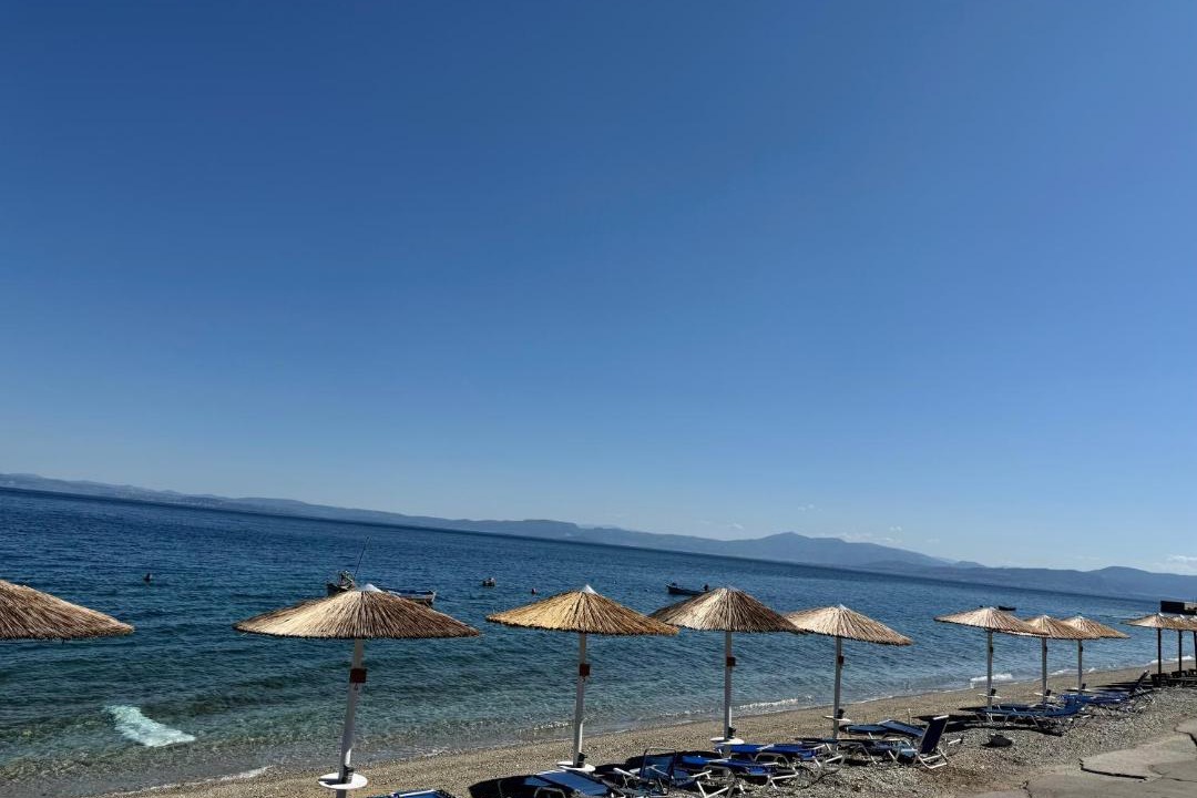Photo of Others in Ilia