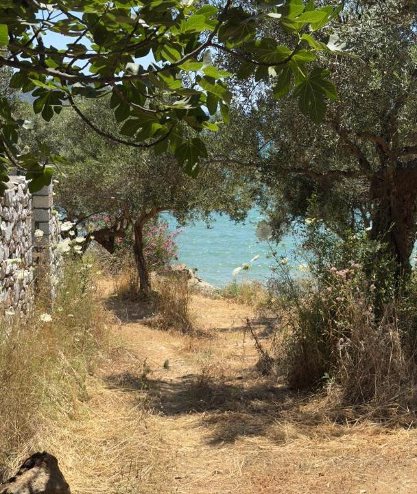 Photo of Others in Skoutari