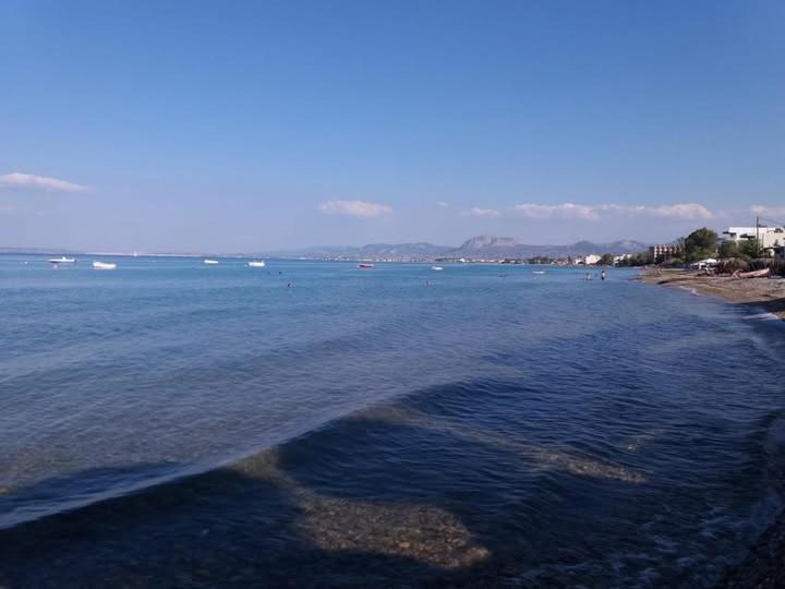 Photo of Others in Kato Assos