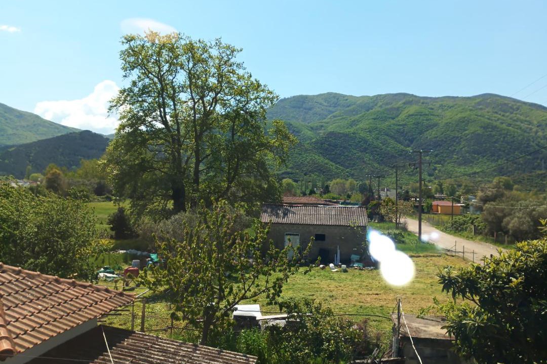 Photo of Others in Stavros