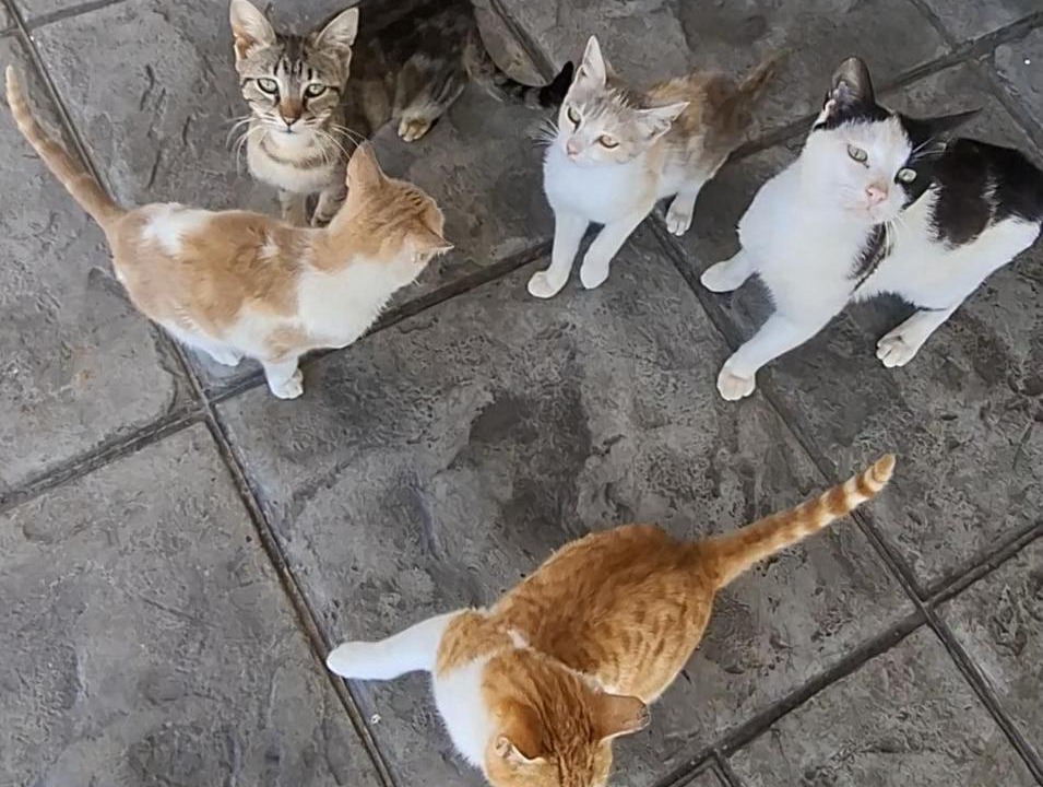 Photo of Others in Vilia