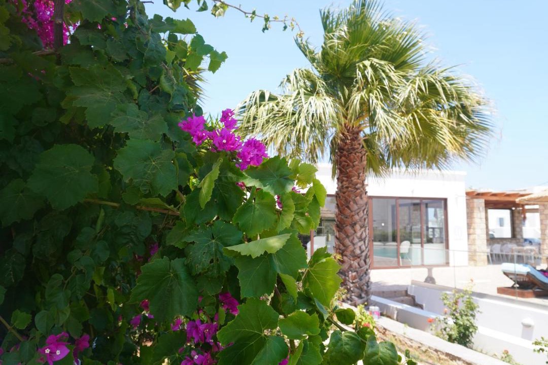 Photo of Others in Karpathos