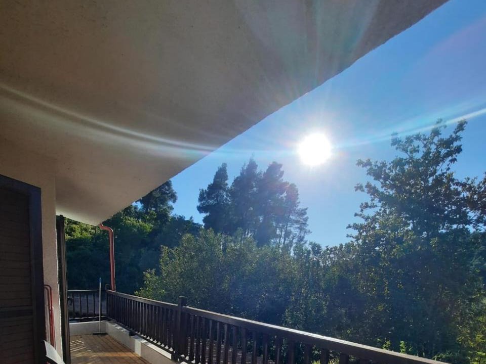 Photo of Patio Balcony in Siviri