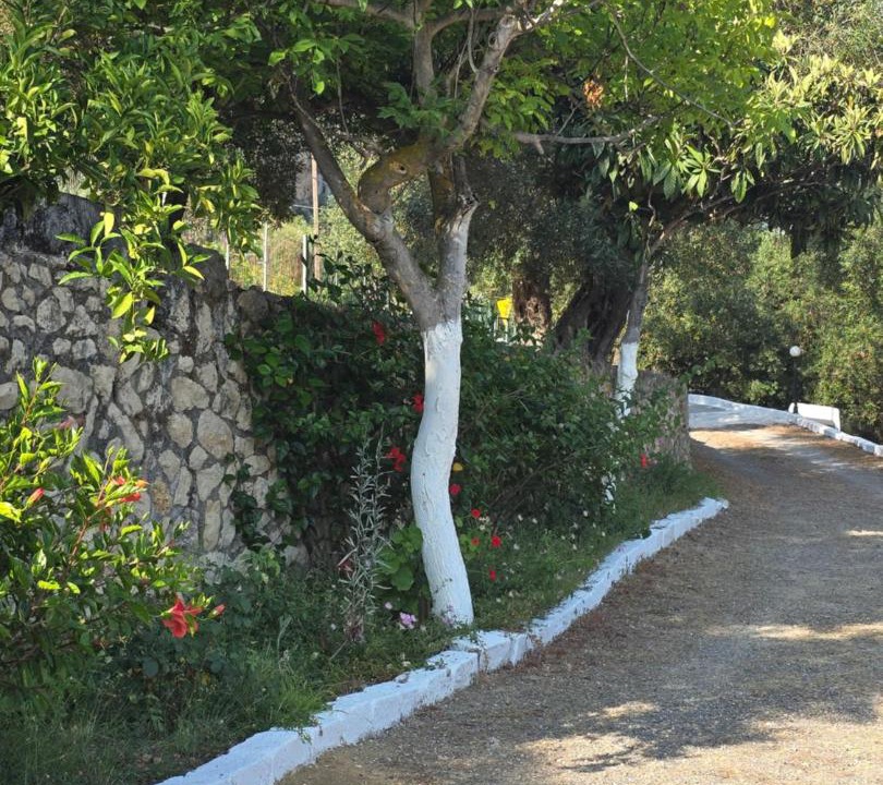 Photo of Others in Paleokastritsa