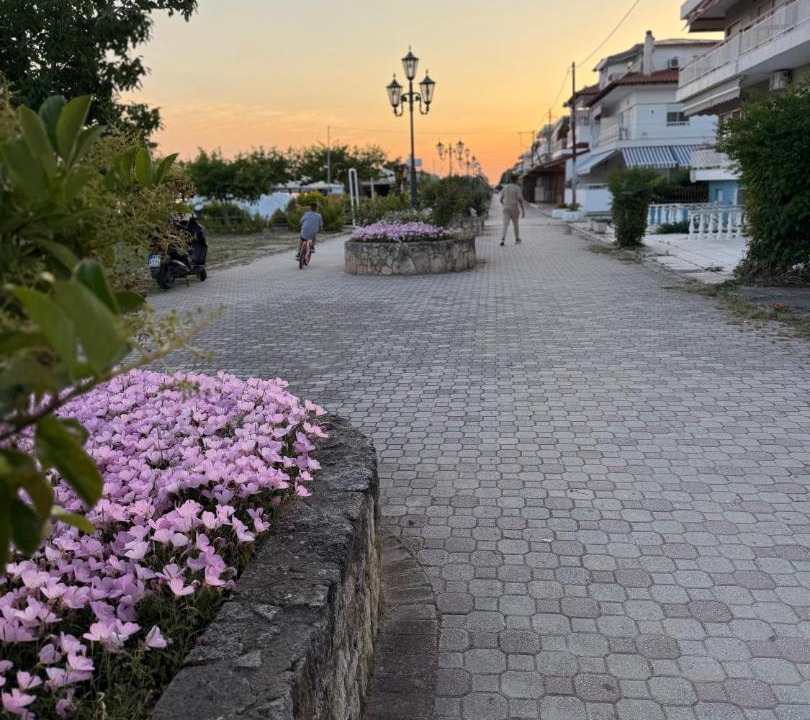 Photo of Others in Paralia Dionysiou