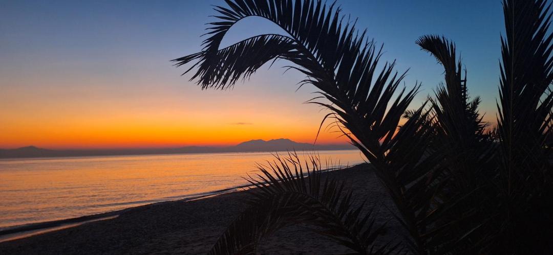 Photo of Others in Paralia Dionysiou