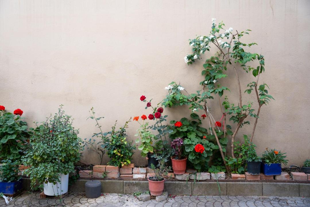 Photo of Others in Tripoli