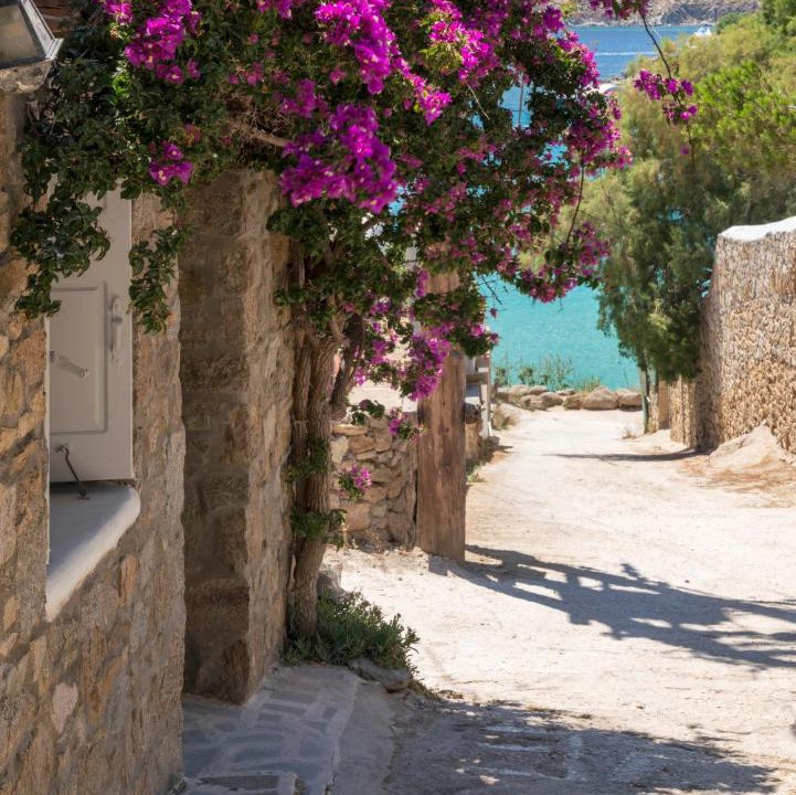 Photo of Others in Platis Gialos