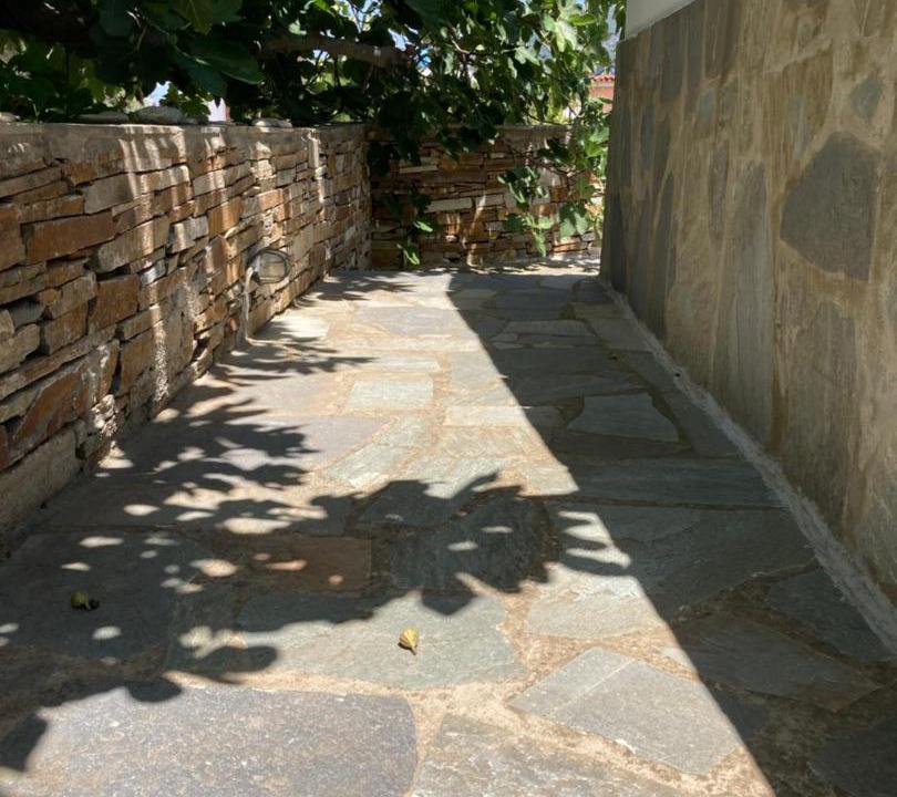 Photo of Others in Andros