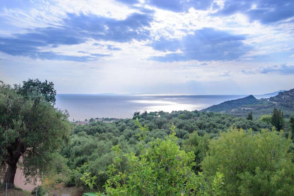 Photo of Others in Lygia
