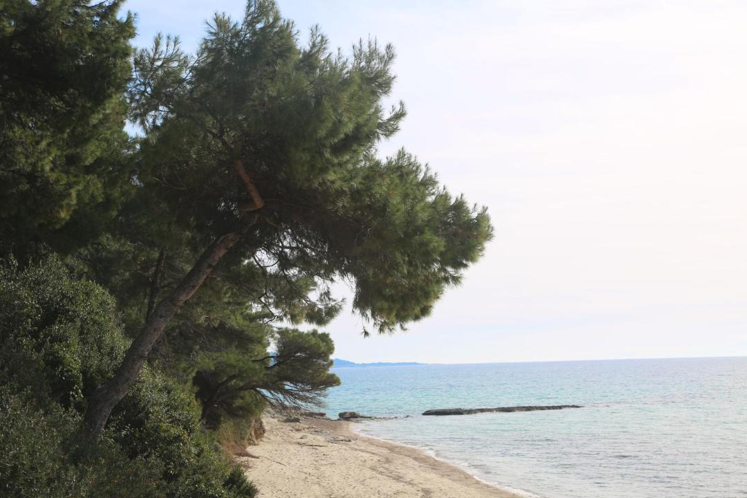 Photo of Outdoor in Siviri