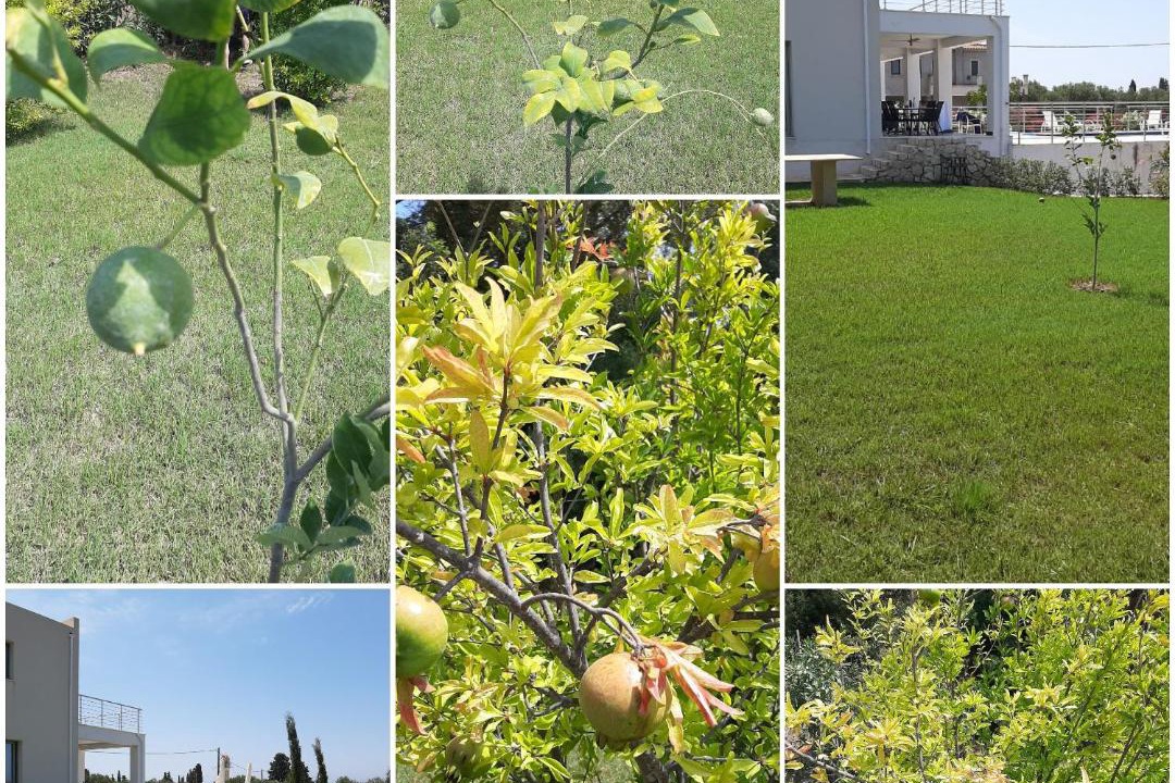 Photo of Outdoor in Minia
