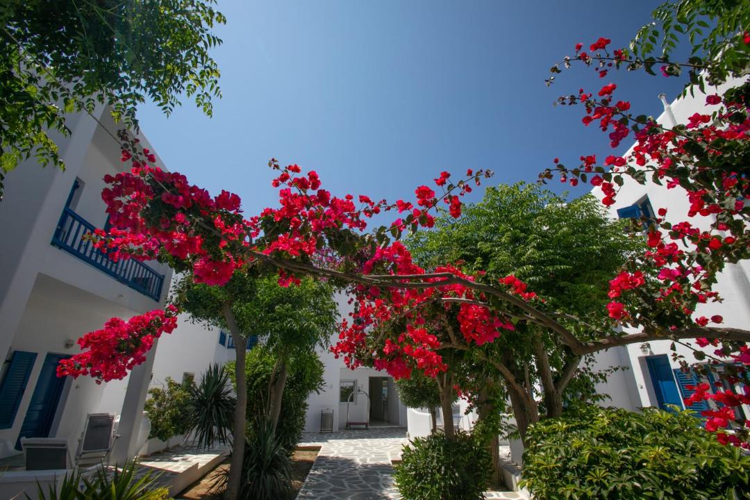 Photo of Others in Platis Gialos