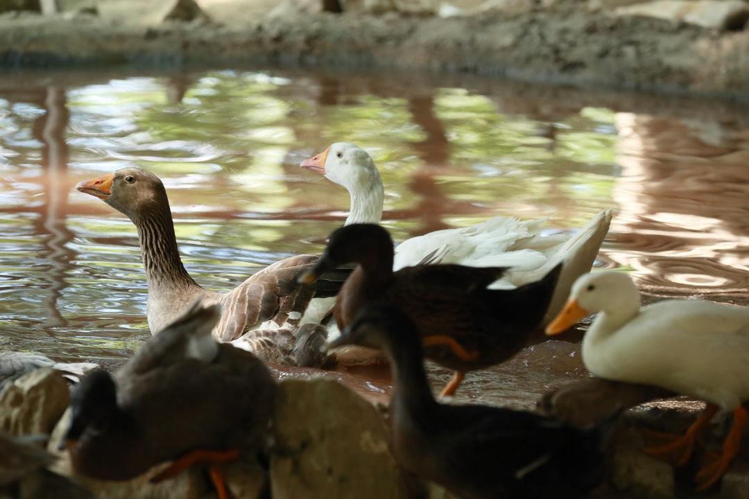 Photo of Others in Xanthi