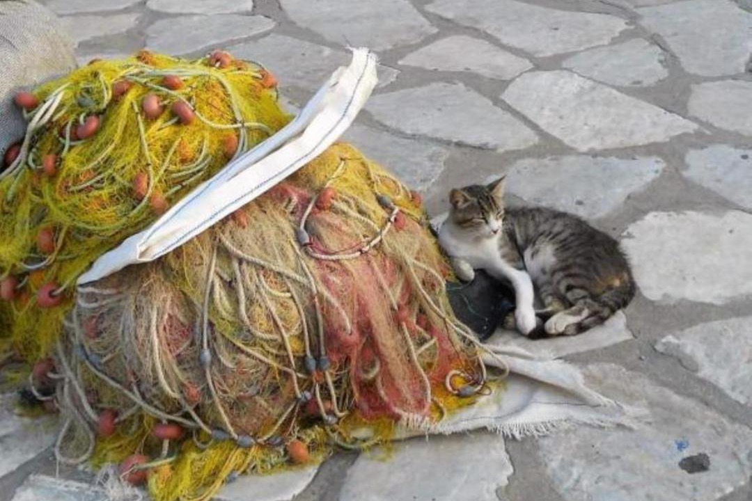 Photo of Others in Agios Ioannis