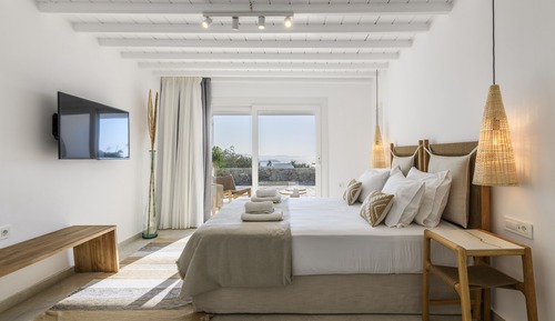 Deluxe Studio, 1 King Bed with Sofa bed