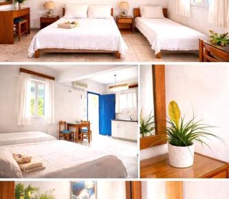 Studio (2-3 Adults) with Garden View