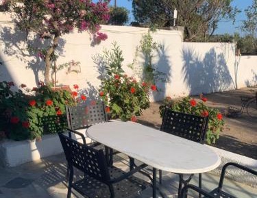 One-Bedroom Apartment with Garden View