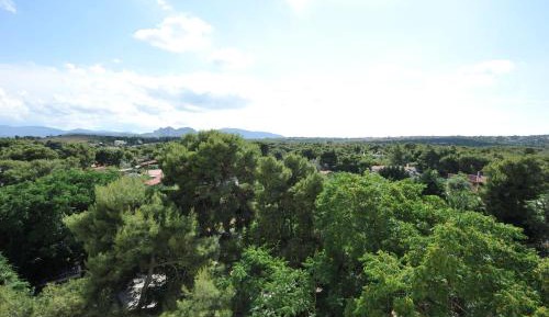 Superior Room Mountain View