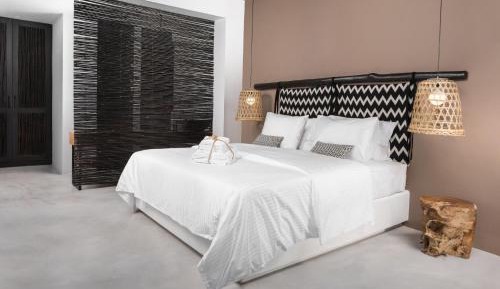 Deluxe Double Room with Pivate Plunge Pool
