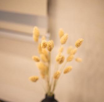 Sparta Apartment | ΛΑΚΩΝΙΖΕΙΝ Luxury Suites