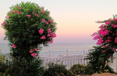 Stegna Apartment | Antonios Apartments Stegna