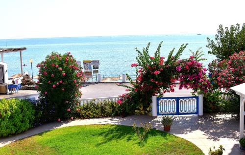 Stegna Apartment | Antonios Apartments Stegna