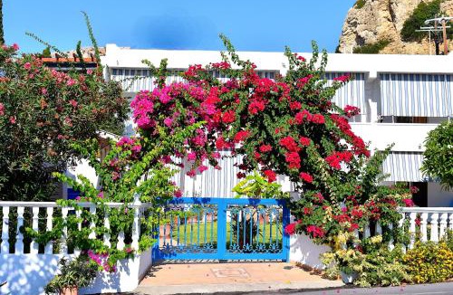 Stegna Apartment | Antonios Apartments Stegna