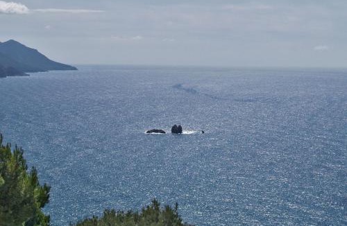 Parelia Apartment | Apartments with Swimming Pool and Sea View - Pelekas Beach, Corfu