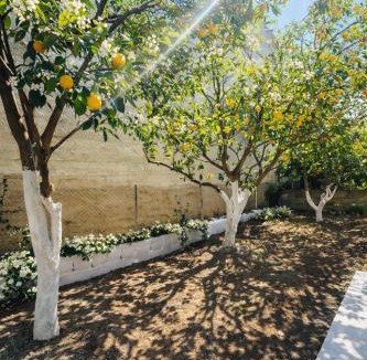 Dirfys-Messapia Apartment | The Citrus Yard in Politika, 2 bedrooms apartment