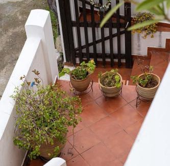 Skotino House | Cretan Magnolia Gem - Smari Cozy Getaway