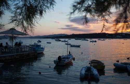 Aliki Apartment | Guesthouse Perdikouli
