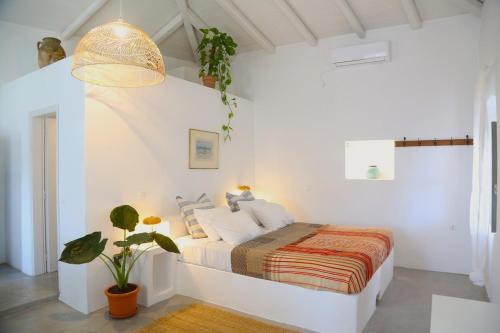 Rouga - bright terrace studio